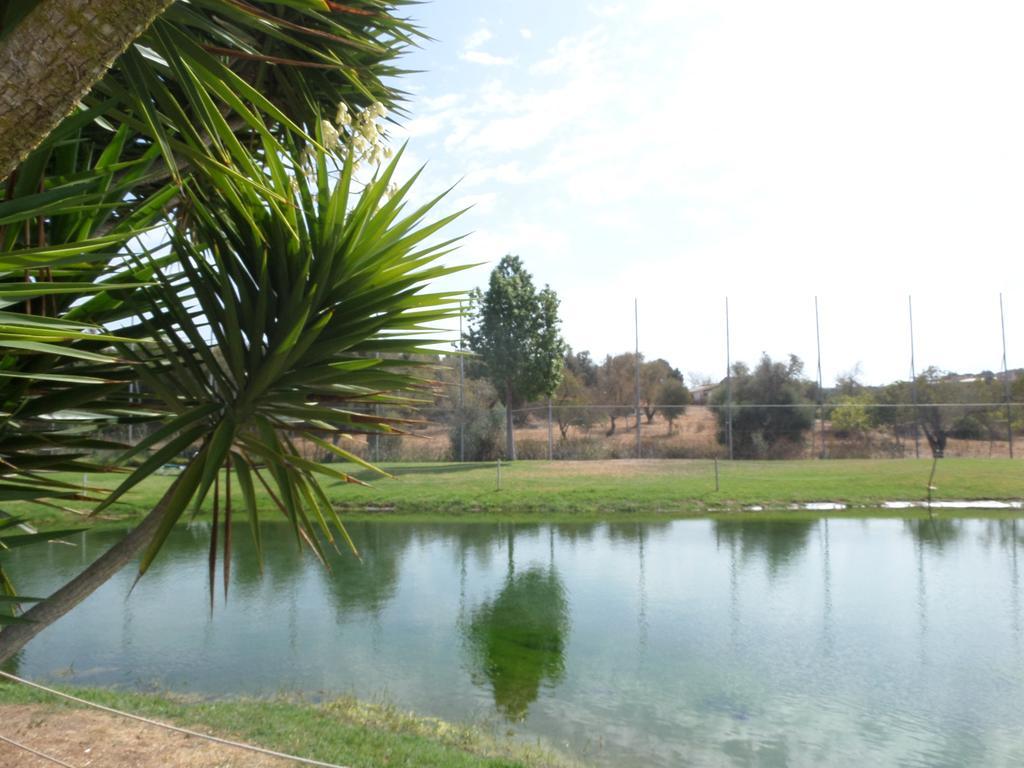 Yellow Alvor Garden 外观 照片