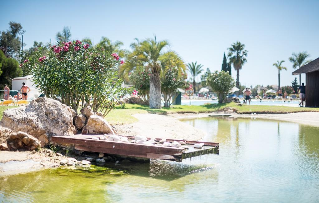 Yellow Alvor Garden 外观 照片