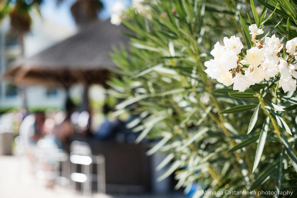 Yellow Alvor Garden 外观 照片